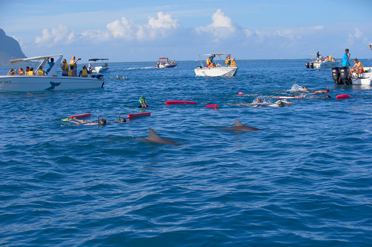 mauritius dolphin tour