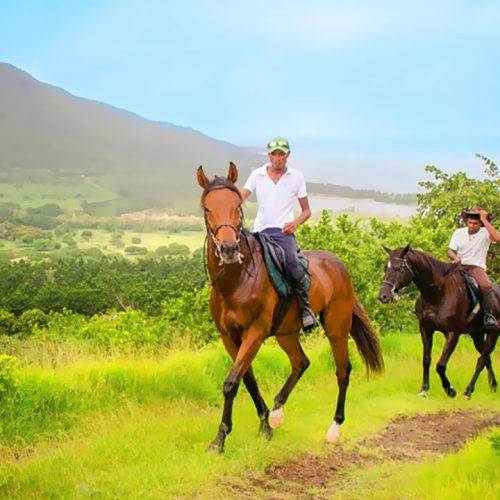 Horse Riding at Le Morne